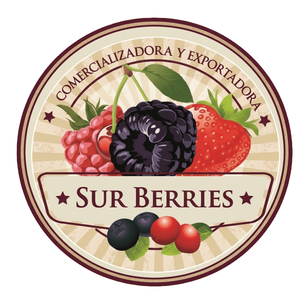 Surberries